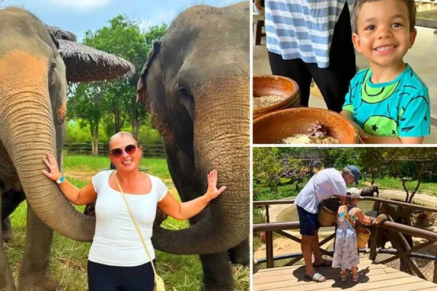 Ethical Elephant Sanctuary Koh Samui – Transfers & Lunch Included