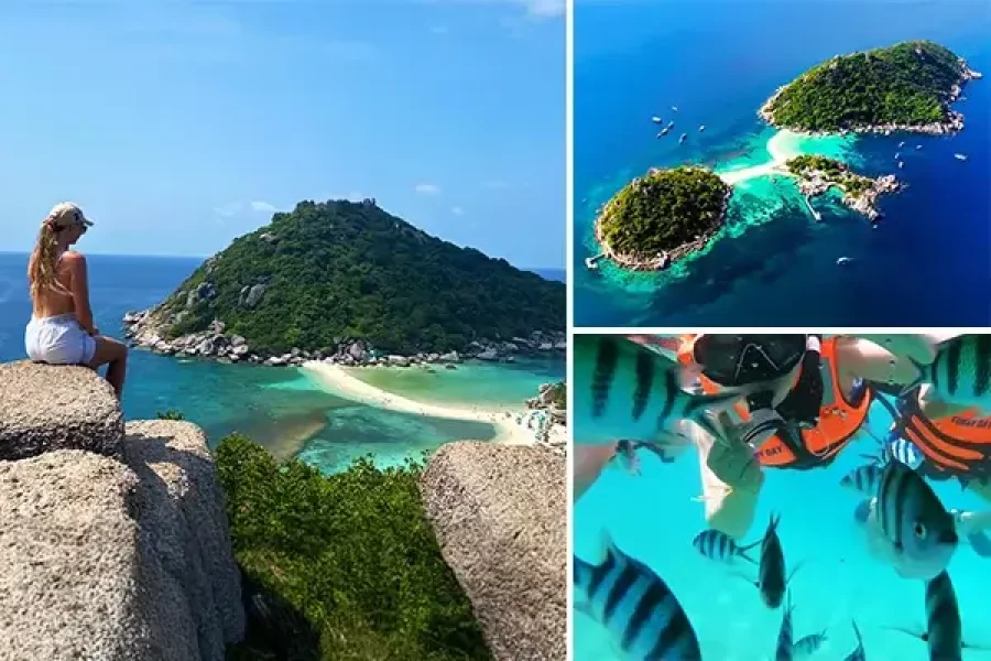 Koh Tao Island & Nangyan Island Day Trip – Snorkeling & Lunch