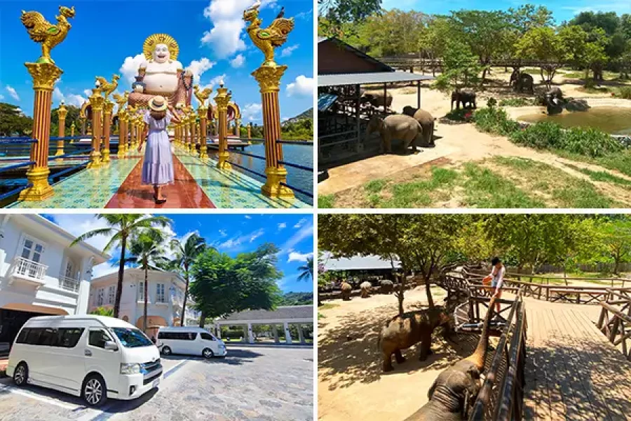 Private Sightseeing Tour + Elephant Sanctuary