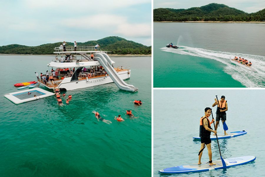 pig-island-koh-samui