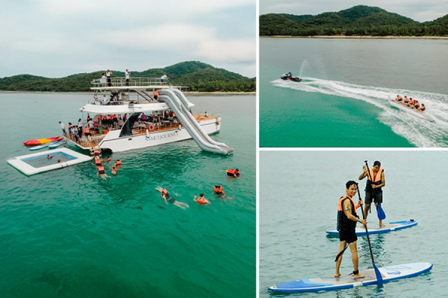 pig-island-koh-samui